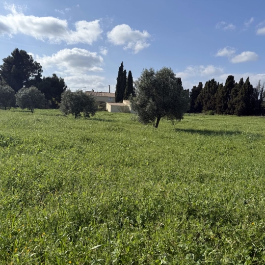 11-34 IMMOBILIER : Maison / Villa | ARGELIERS (11120) | 171.00m2 | 345 000 € 11-34 IMMOBILIER : Maison / Villa | ARGELIERS (11120) | 171.00m2 | 345 000 €